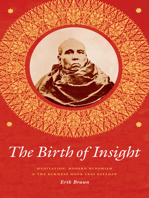 cover image of The Birth of Insight